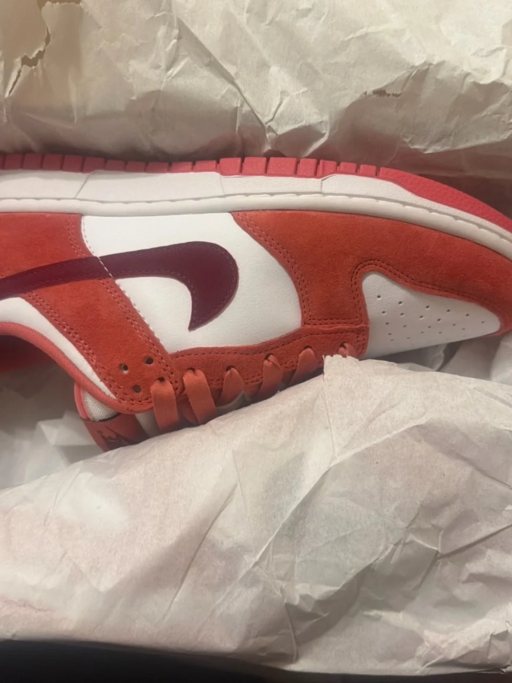 Brand new  women’s ' dunks